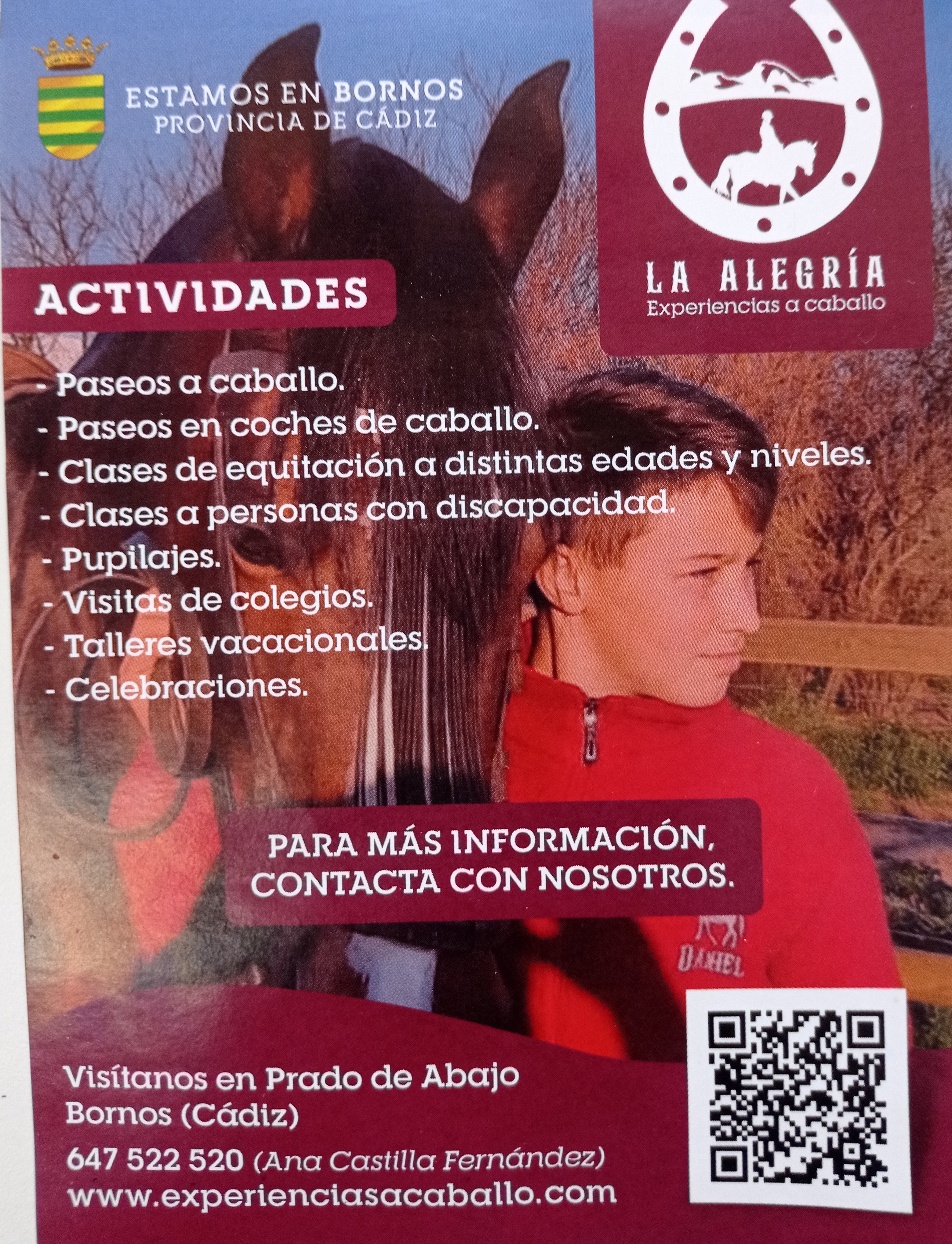 flyer la alegria