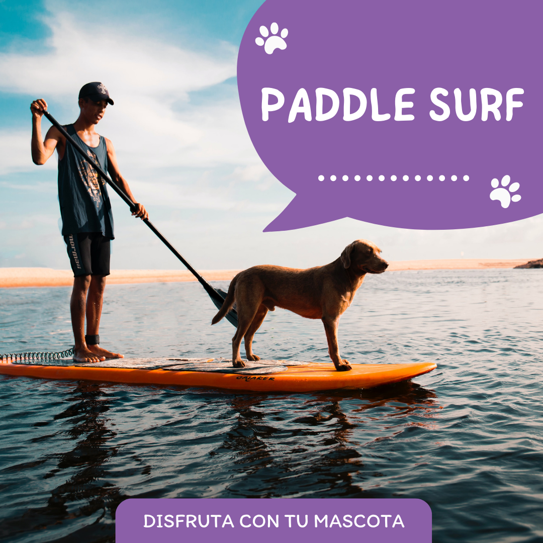 Paddle surf juntos