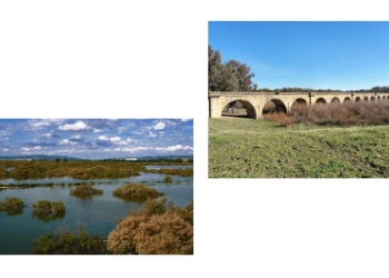 Section of the Greenway and Natural Park "Cola del Embalse de Bornos"