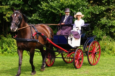 Coche de caballos